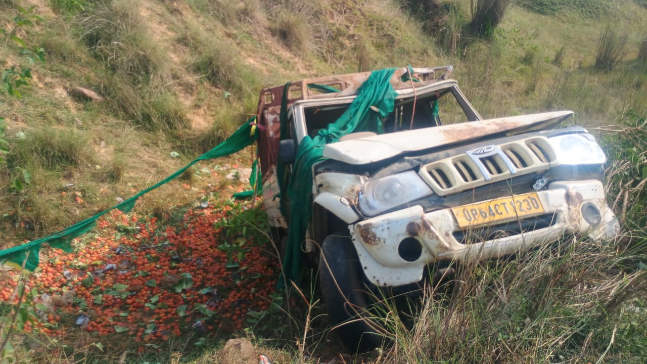naidunia_image